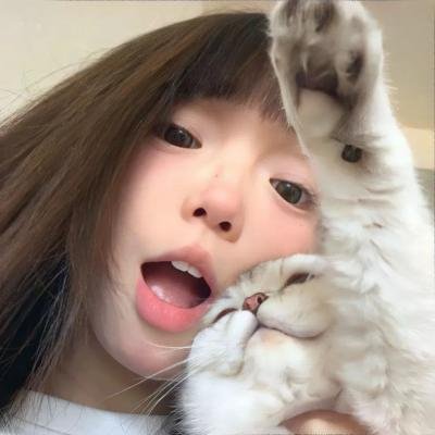 被炉、蜜桔和小猫